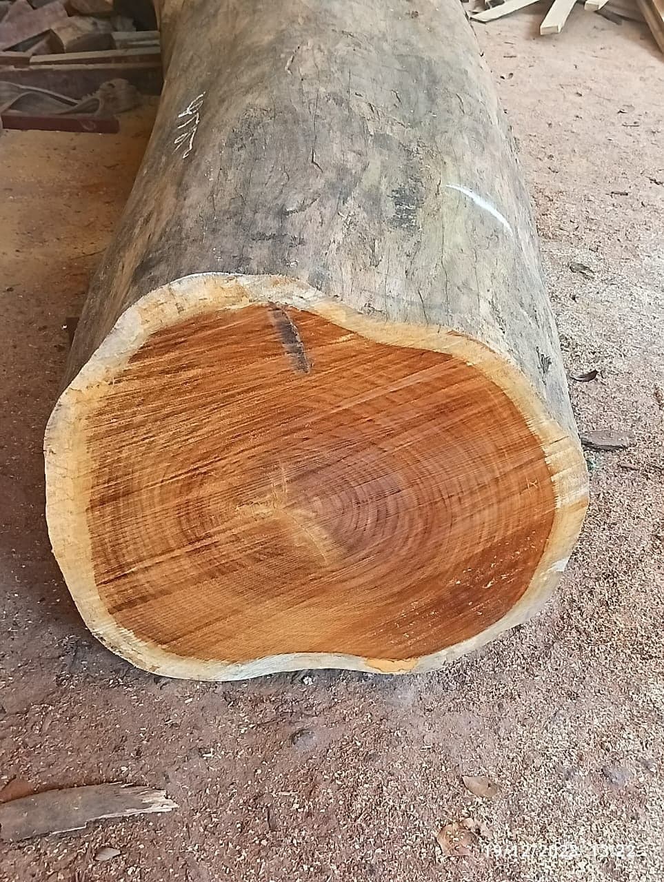 Sheesham timber in the workshop